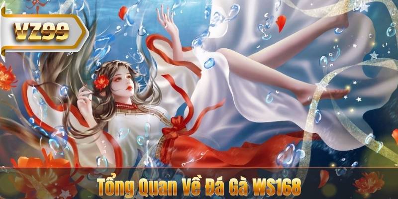 Tổng Quan Về Đá Gà WS168
