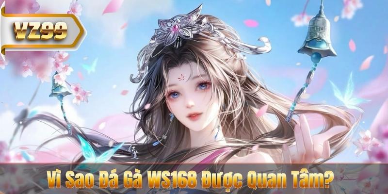 Vì Sao Đá Gà WS168 Được Quan Tâm?